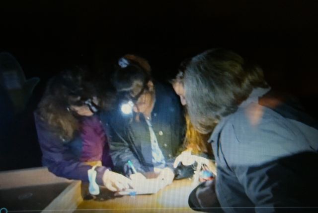 Soirée resto et Labyrinthe végétal juil 2021, photo 12