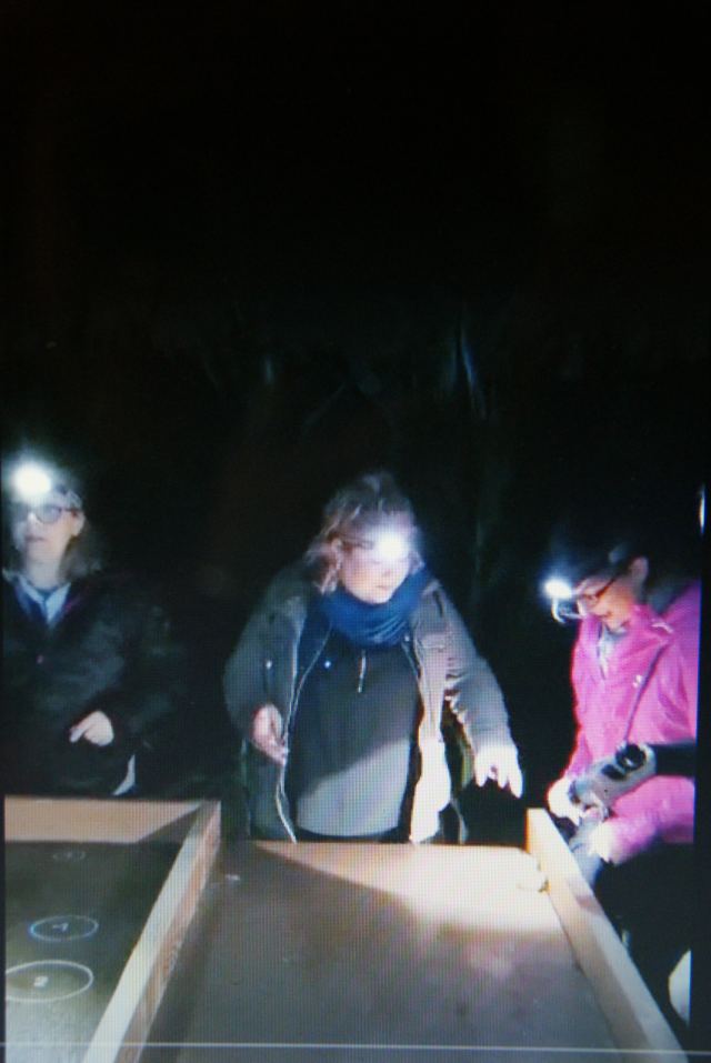 Soirée resto et Labyrinthe végétal juil 2021, photo 19