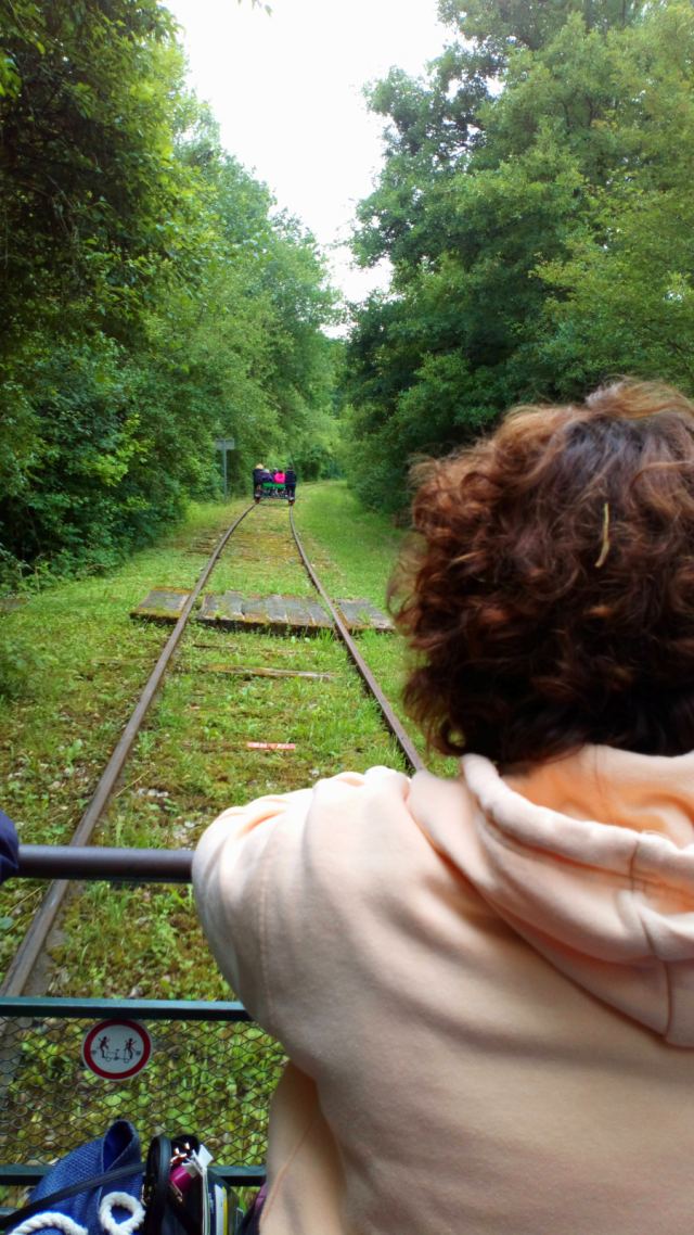 Après Midi fin d'année au Vélo Rail à La Ferté-Gaucher le 25 juin 2022, photo 14