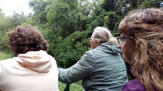 Après Midi fin d'année au Vélo Rail à La Ferté-Gaucher le 25 juin 2022, photo 16