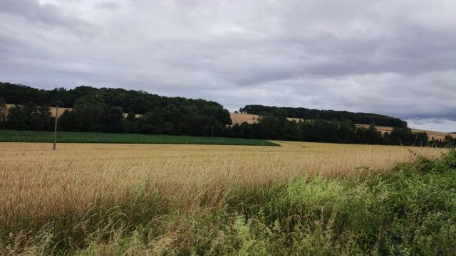 Après Midi fin d'année au Vélo Rail à La Ferté-Gaucher le 25 juin 2022, photo 44