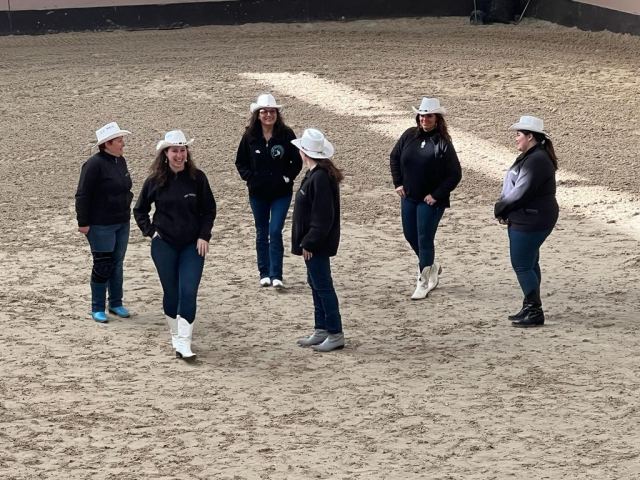 Prestation Club Hippique de Meaux 5 Fev 2023, photo 6
