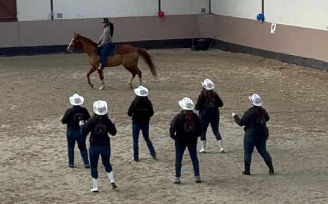 Prestation Club Hippique de Meaux 5 Fev 2023, photo 14