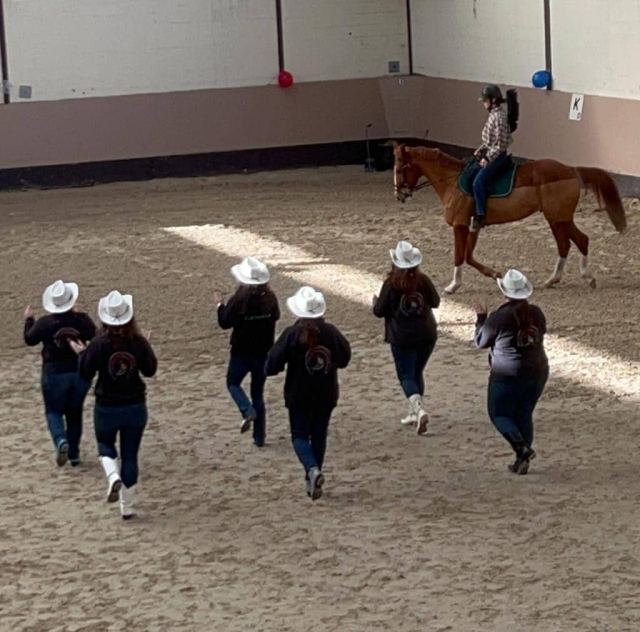 Prestation Club Hippique de Meaux 5 Fev 2023, photo 15